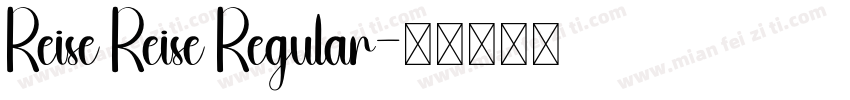 Reise Reise Regular字体转换